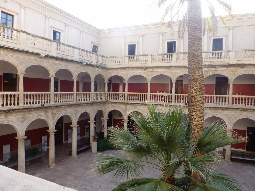HOMMAGE A N.D. DE SANTA CRUZ A DALIAS 14 ET 15 JUIN 2014 (244).JPG